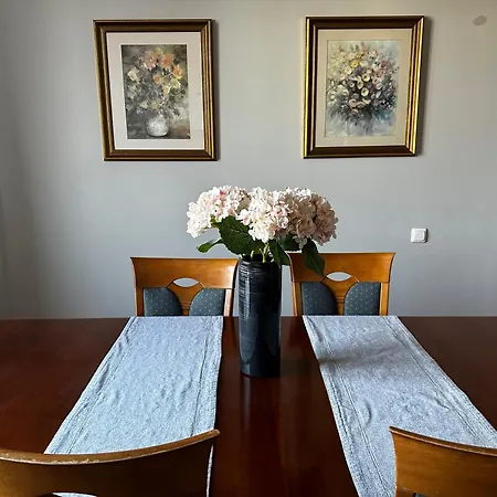 아파트 Apartament Myslowice 미스워비체