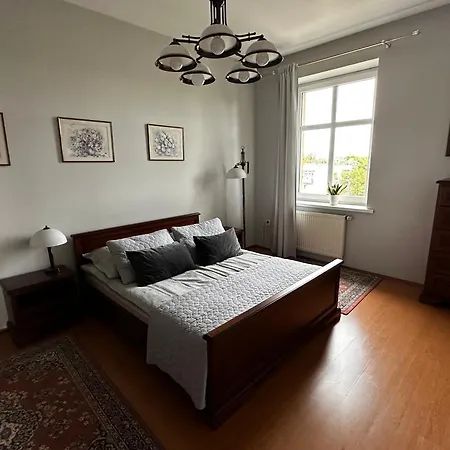 Z Wifi, Self-check In *