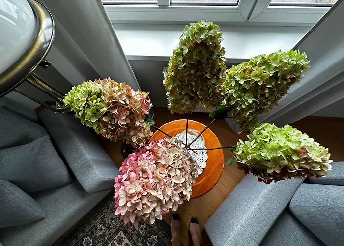 Z Wifi, Self-check In 아파트 *