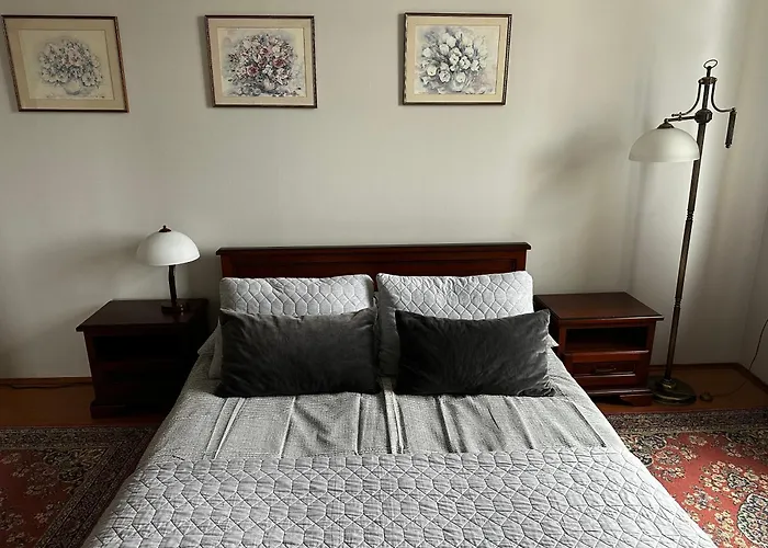 Z Wifi, Self-check In *