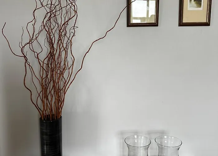 Z Wifi, Self-check In