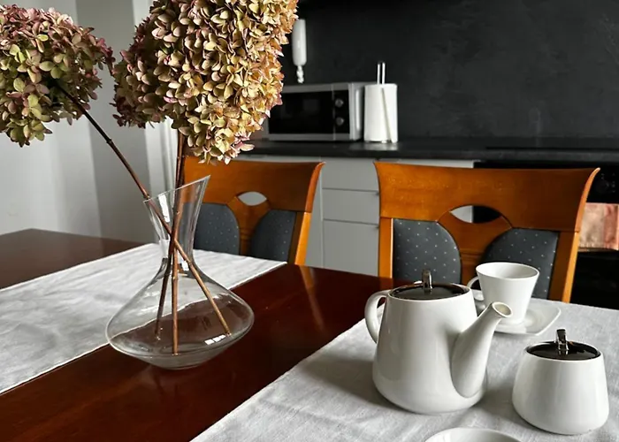 Z Wifi, Self-check In 아파트 미스워비체