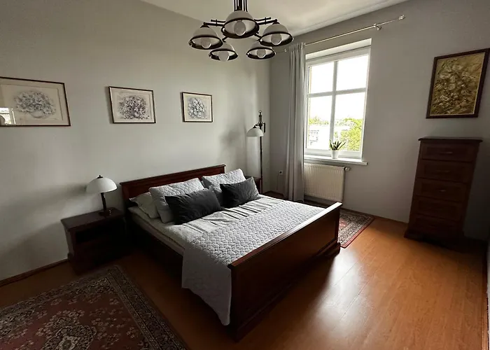 Z Wifi, Self-check In *