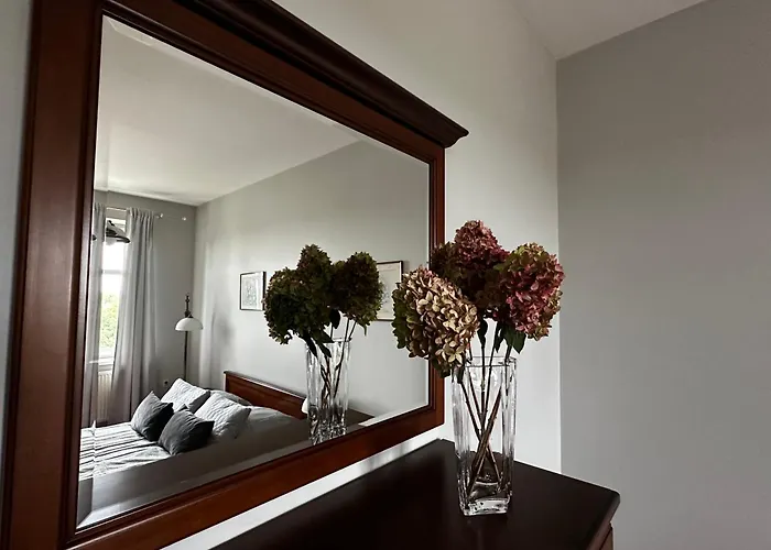 Z Wifi, Self-check In 미스워비체